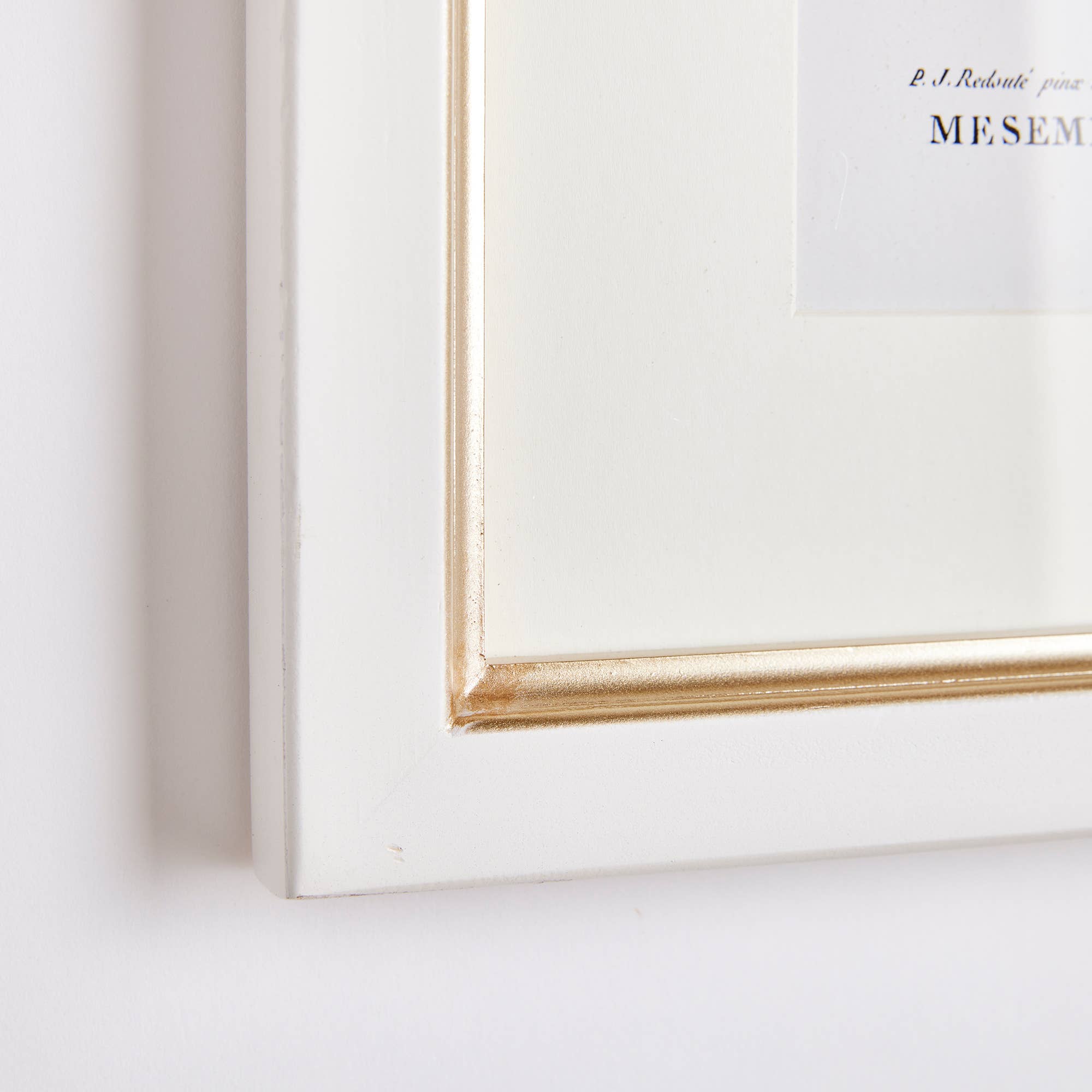 Flower Studies In Shades Of Blush