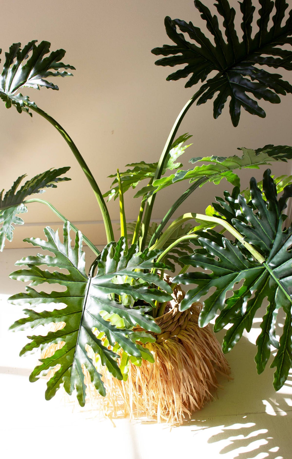 Botanica Split Leaf Philodendron