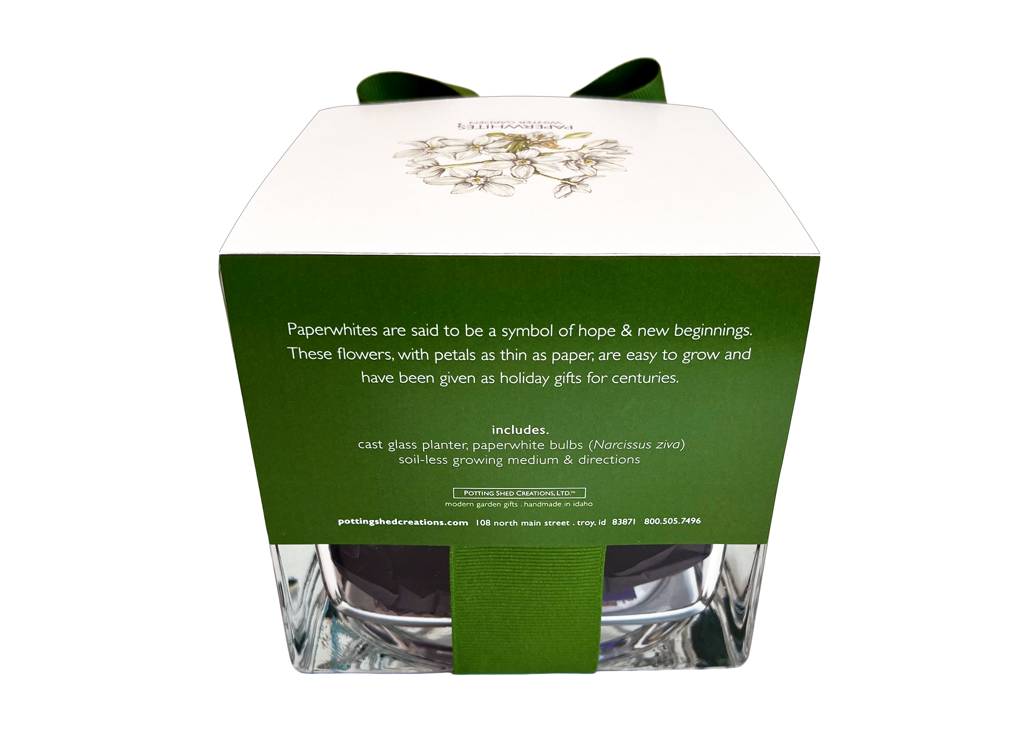 Paperwhites Winter Garden | Christmas gift | Best Seller