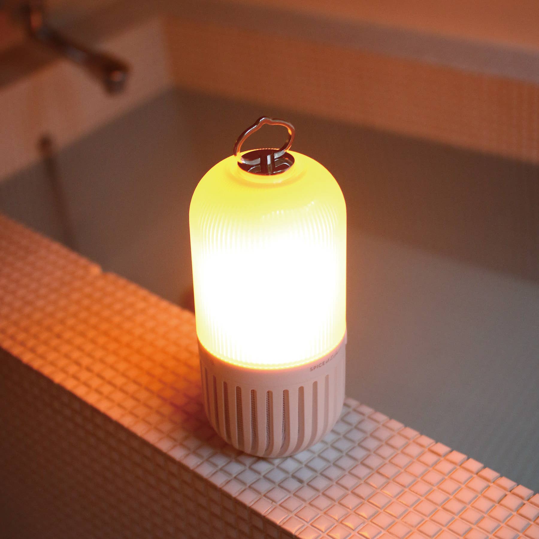 Bonfire Bluetooth Speaker: Rechargeable & Waterproof