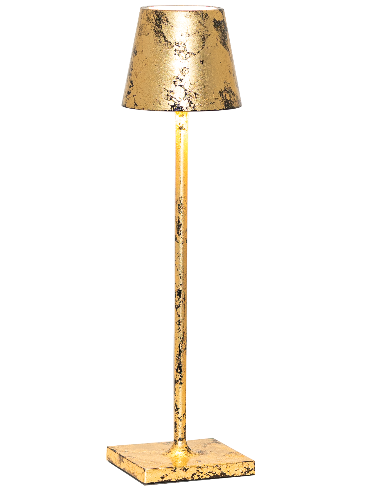 Poldina Pro Micro Cordless Lamp