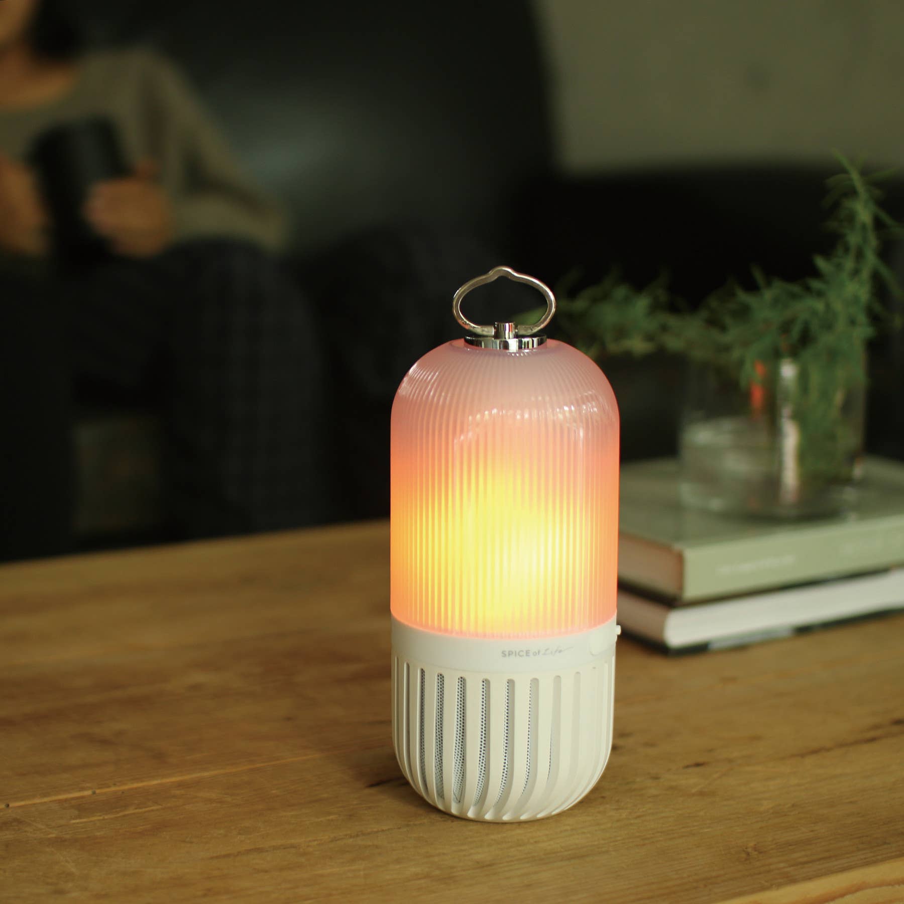 Bonfire Bluetooth Speaker: Rechargeable & Waterproof