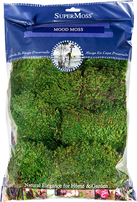 Mood Moss Preserved
