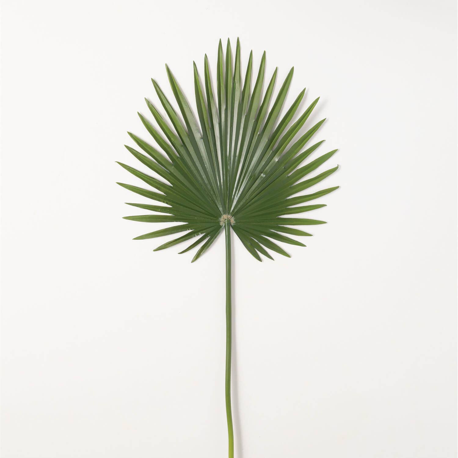 PALMETTO LEAF