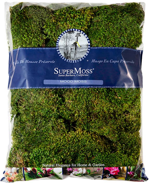 Mood Moss Preserved