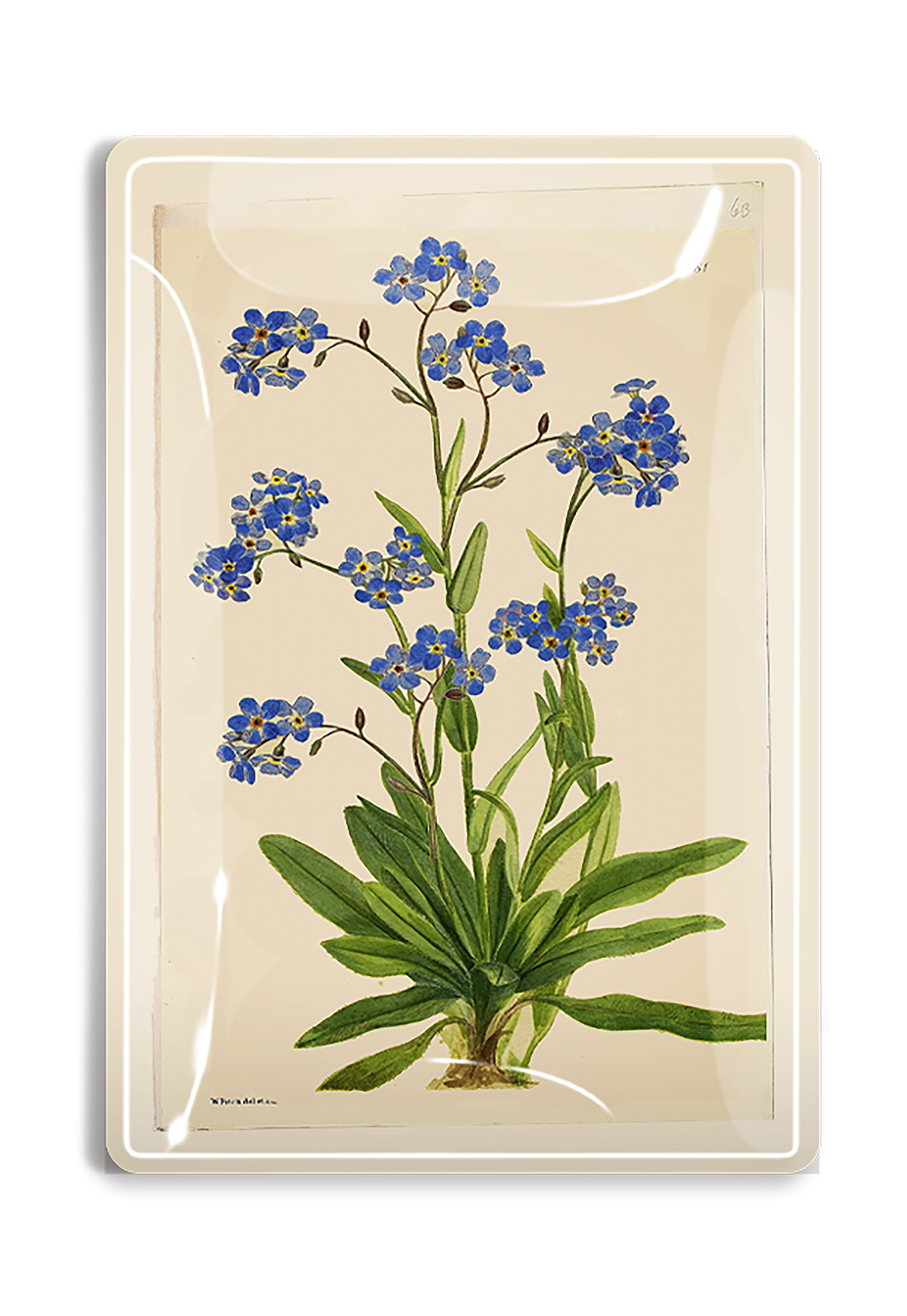 Forget Me Nots Decoupage Glass Tray