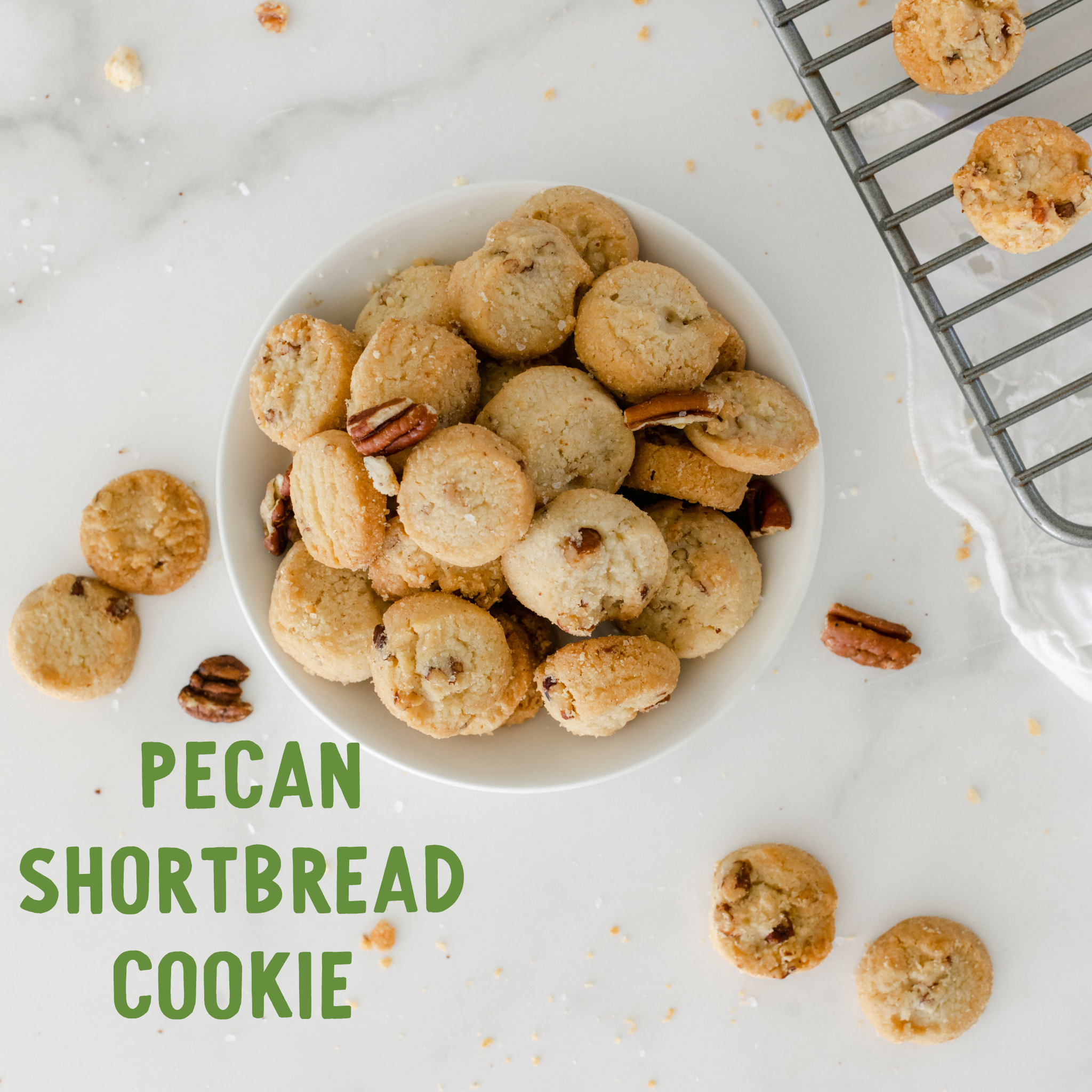 Columbia SC Gift Tin | Gourmet Shortbread Cookies or Nuts