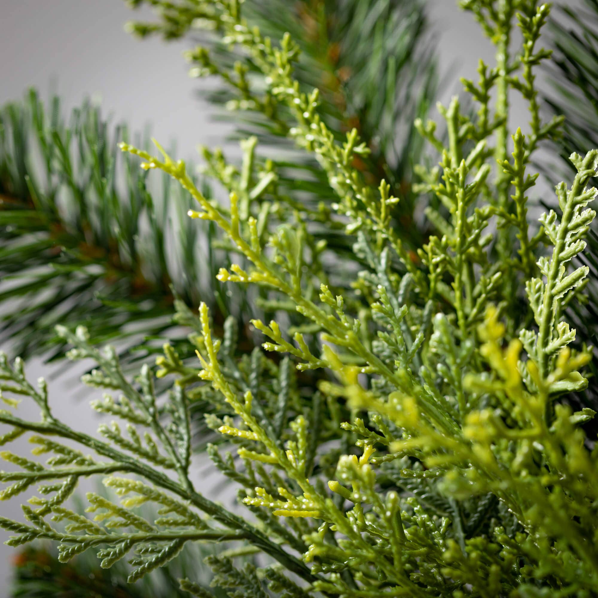 LUSH GREEN DOUGLAS FIR WREATH