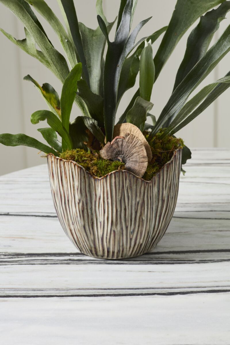 Capira Pot