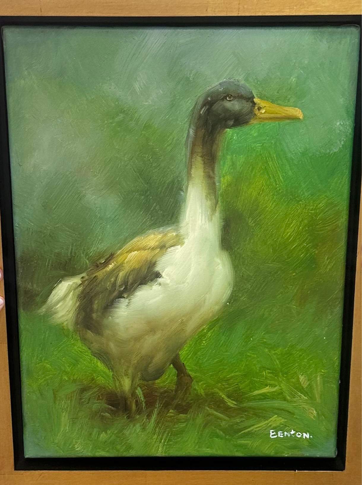 Original Mallard Painting