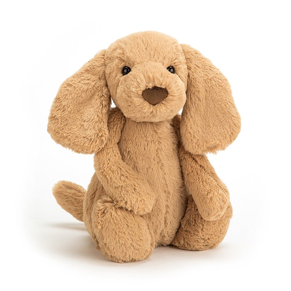 Toffee Puppy