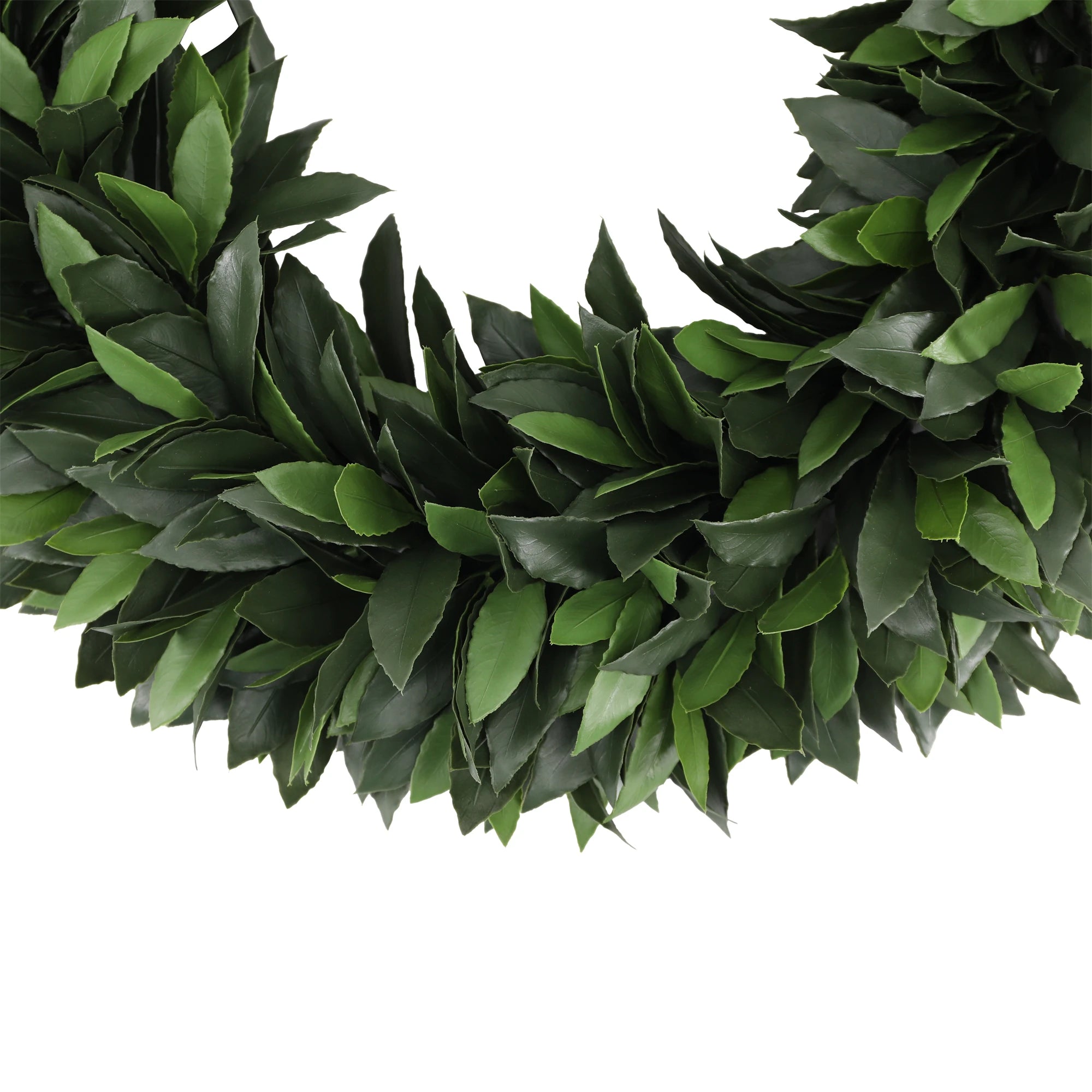 Everlux Bay Laurel Wreath UV