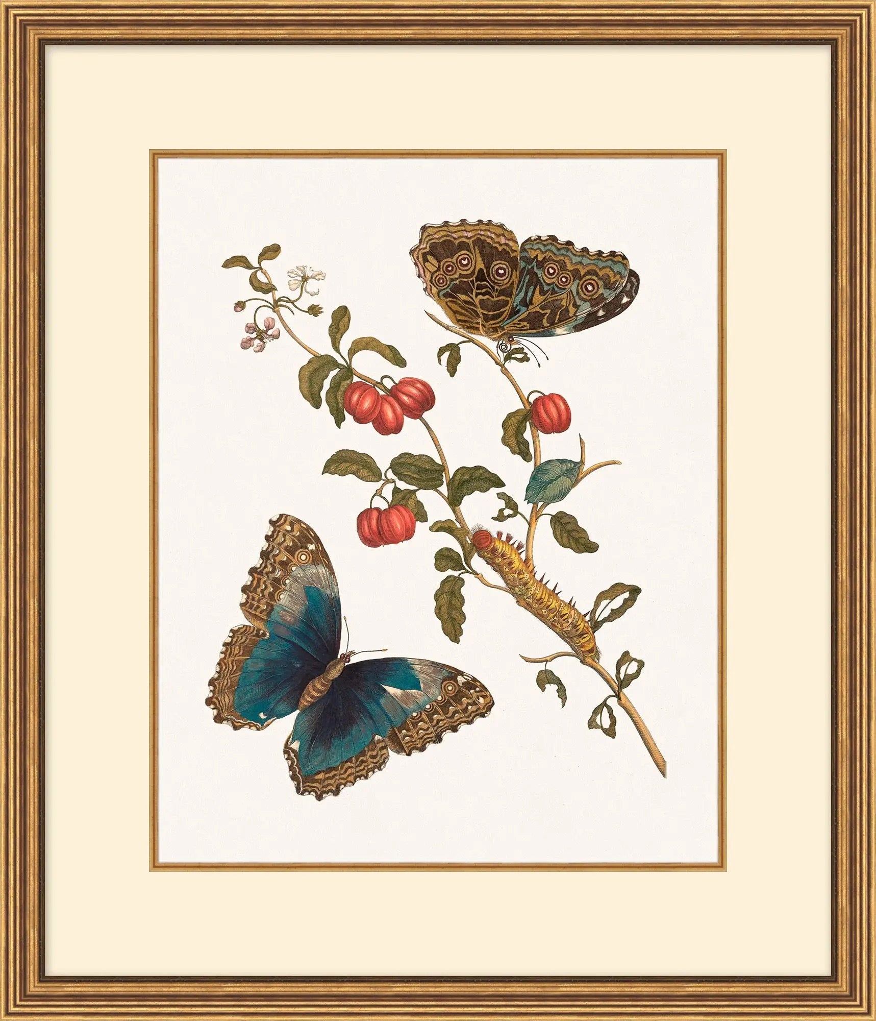 Growth State Botanical Collection