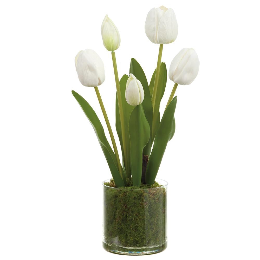 15" Tulip in Pot - White