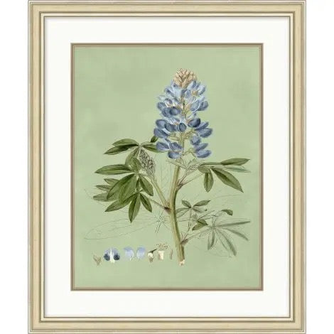 Sage and Blue Botanical