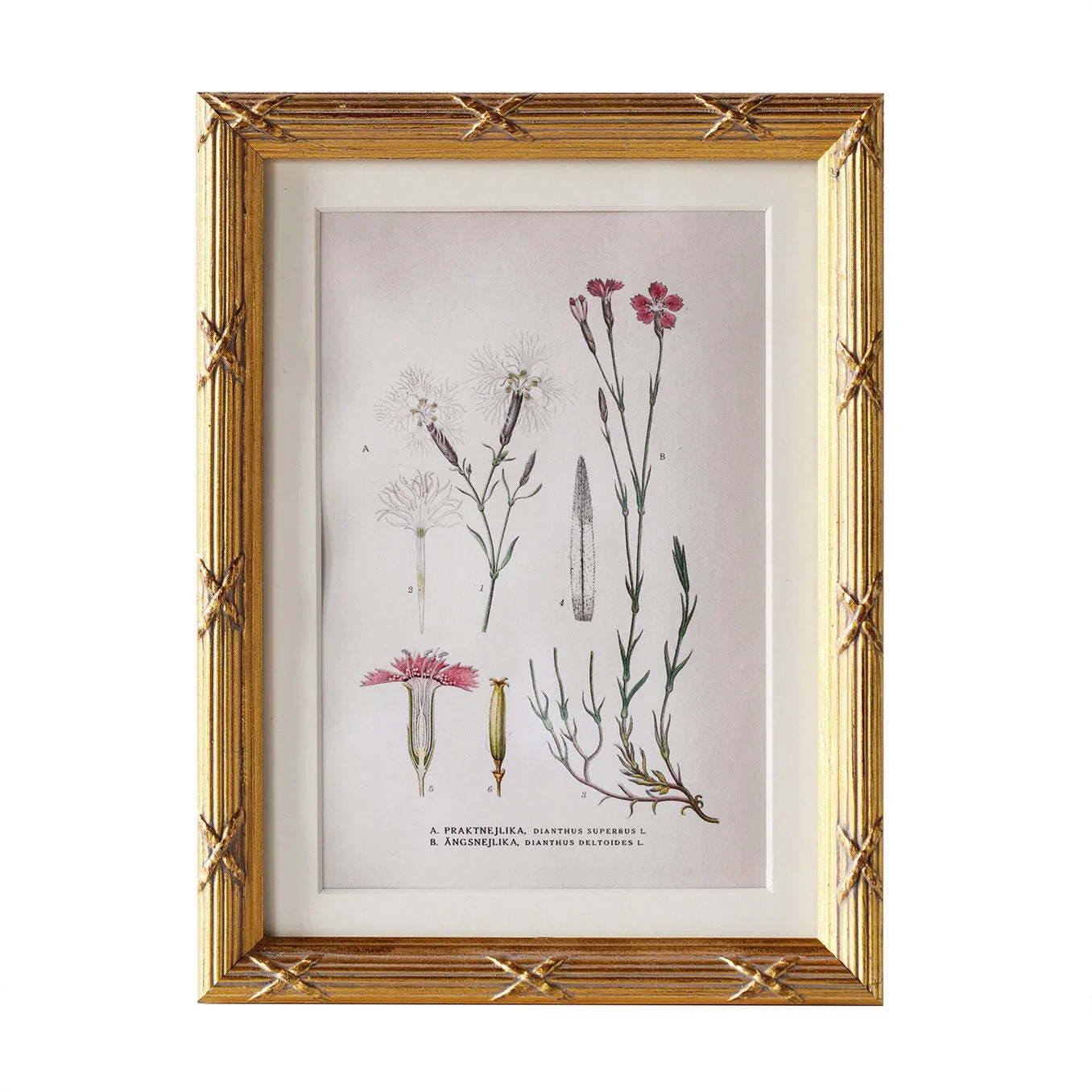 Arundel Matted Frame