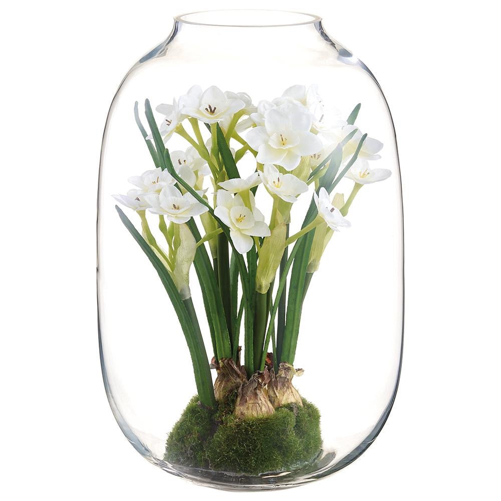 Daffodil in Glass Vase