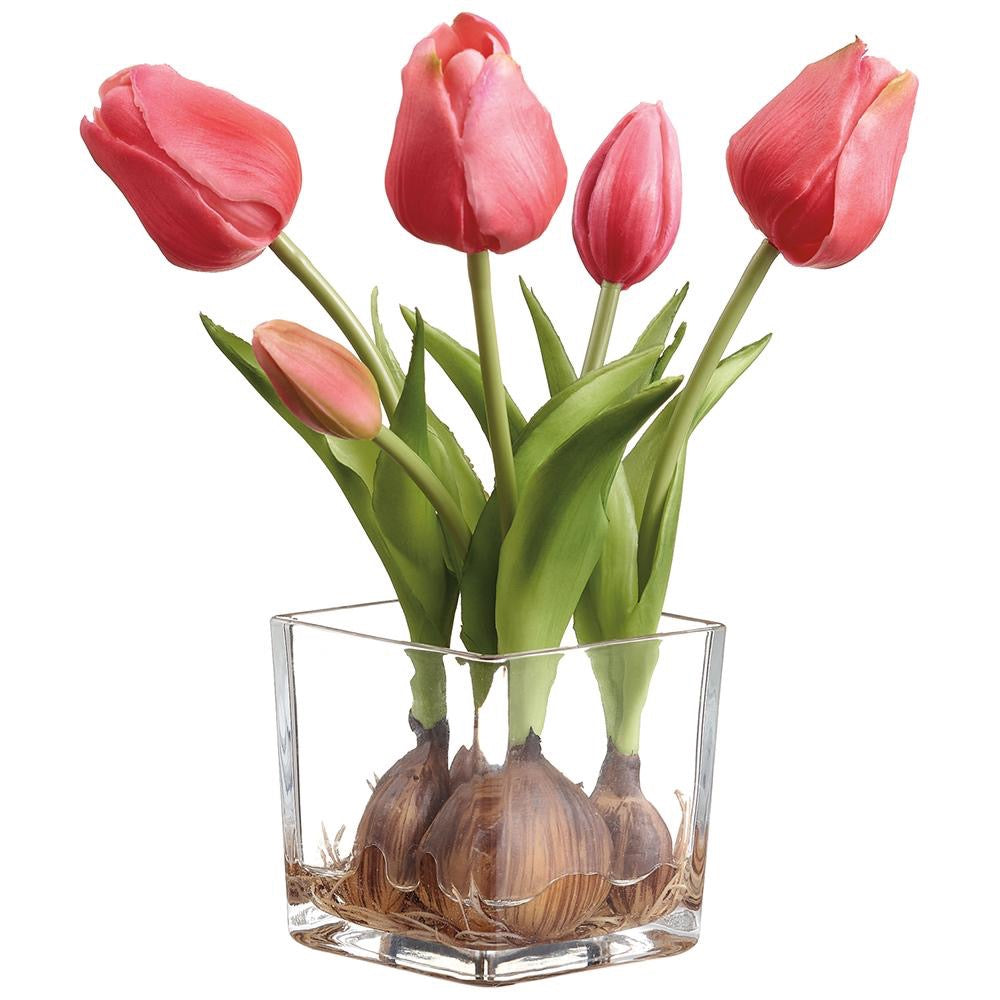 9" Tulip w/ Bulb in Glass Vase - Bright Pink