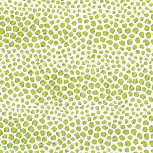 Just Spots Lime - Wrapping Paper