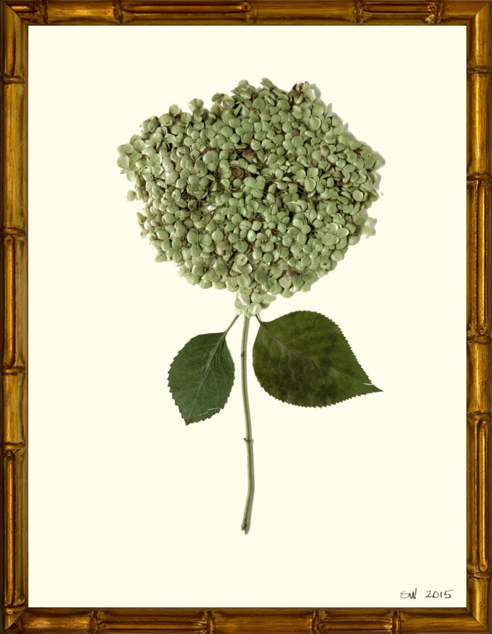 Hydrangeas 8x10 Framed