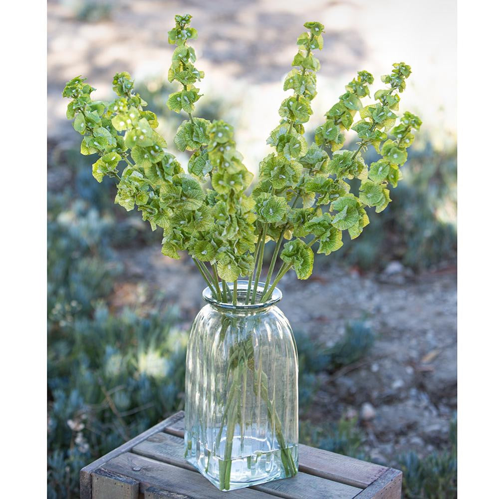 Bells of Ireland Spray Green