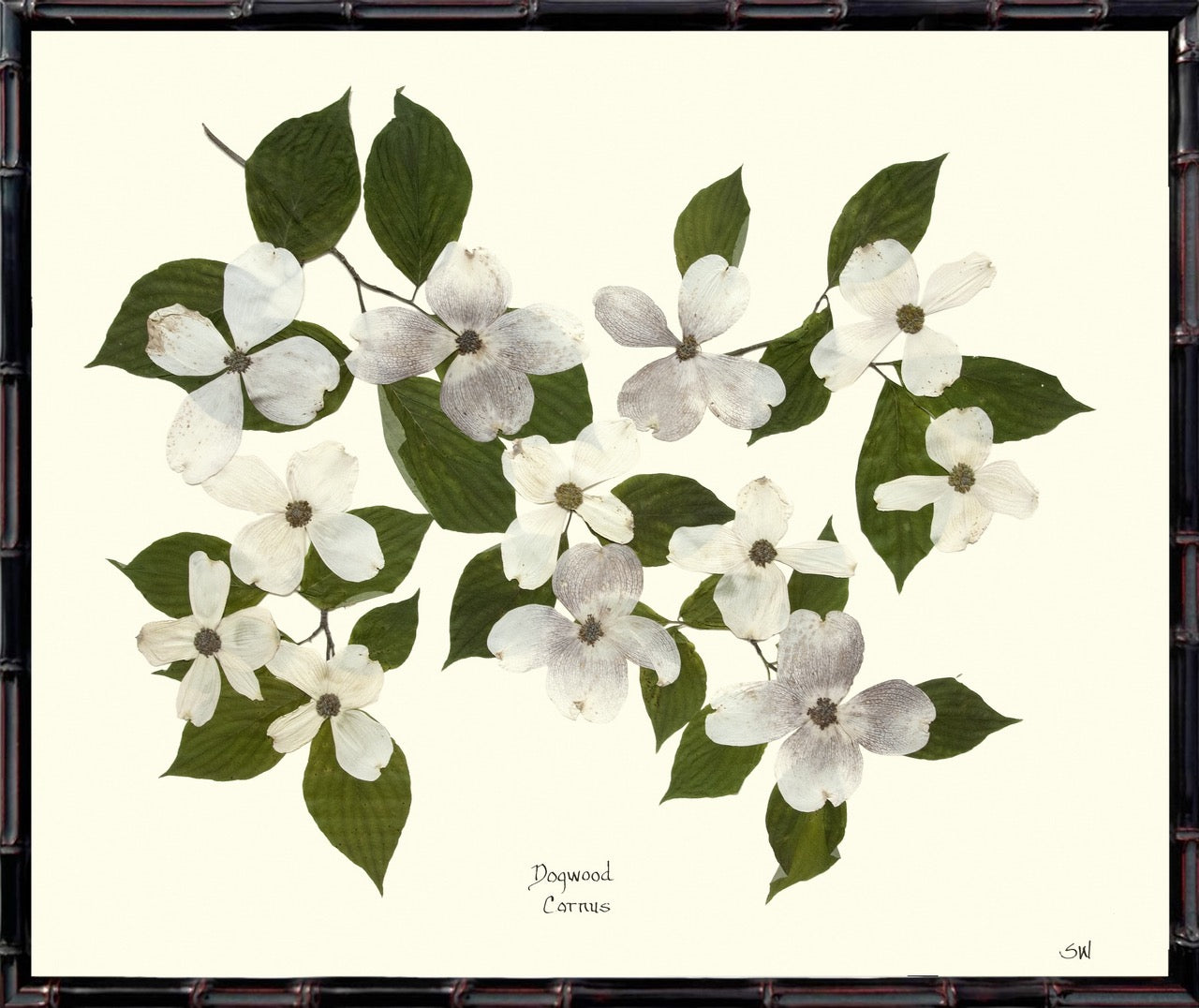 20x24 Botanicals