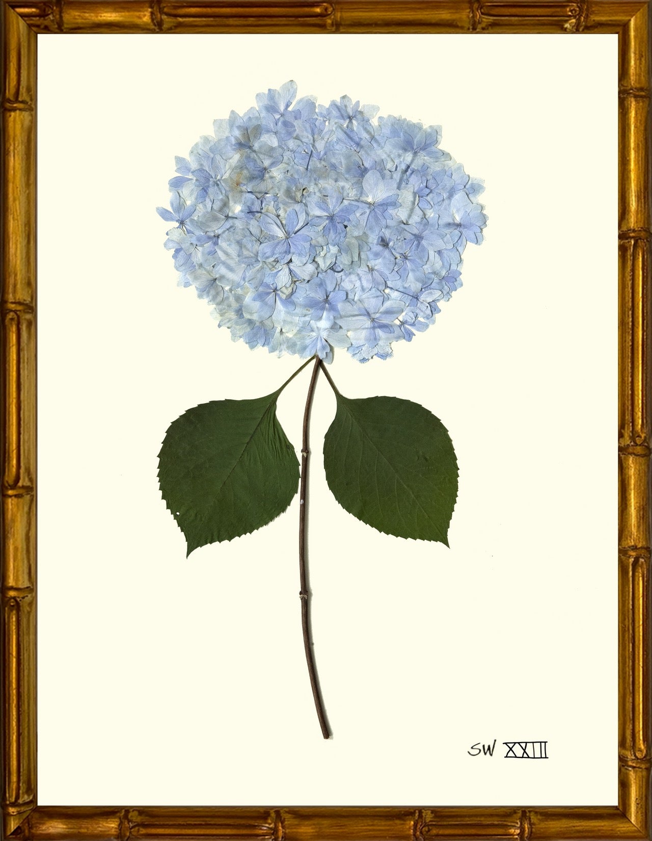 Hydrangeas 8x10 Framed