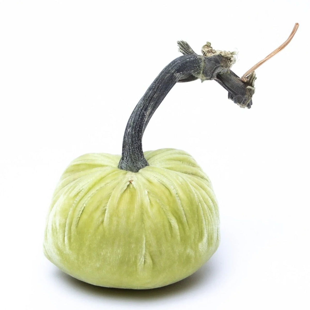 Velvet Pumpkins