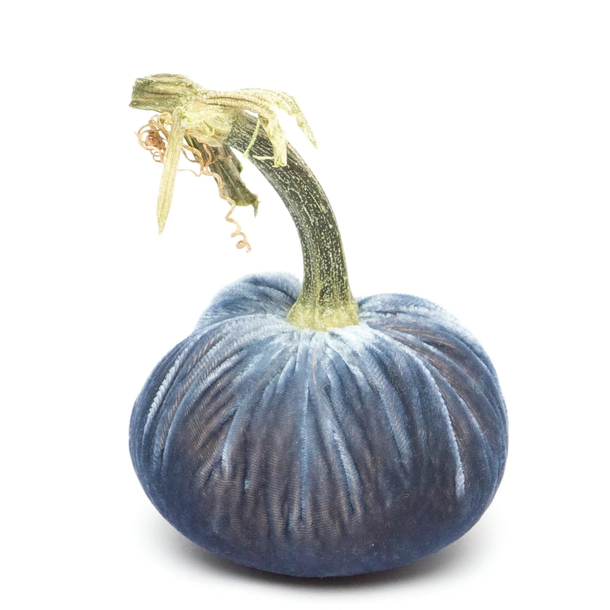 Velvet Pumpkins