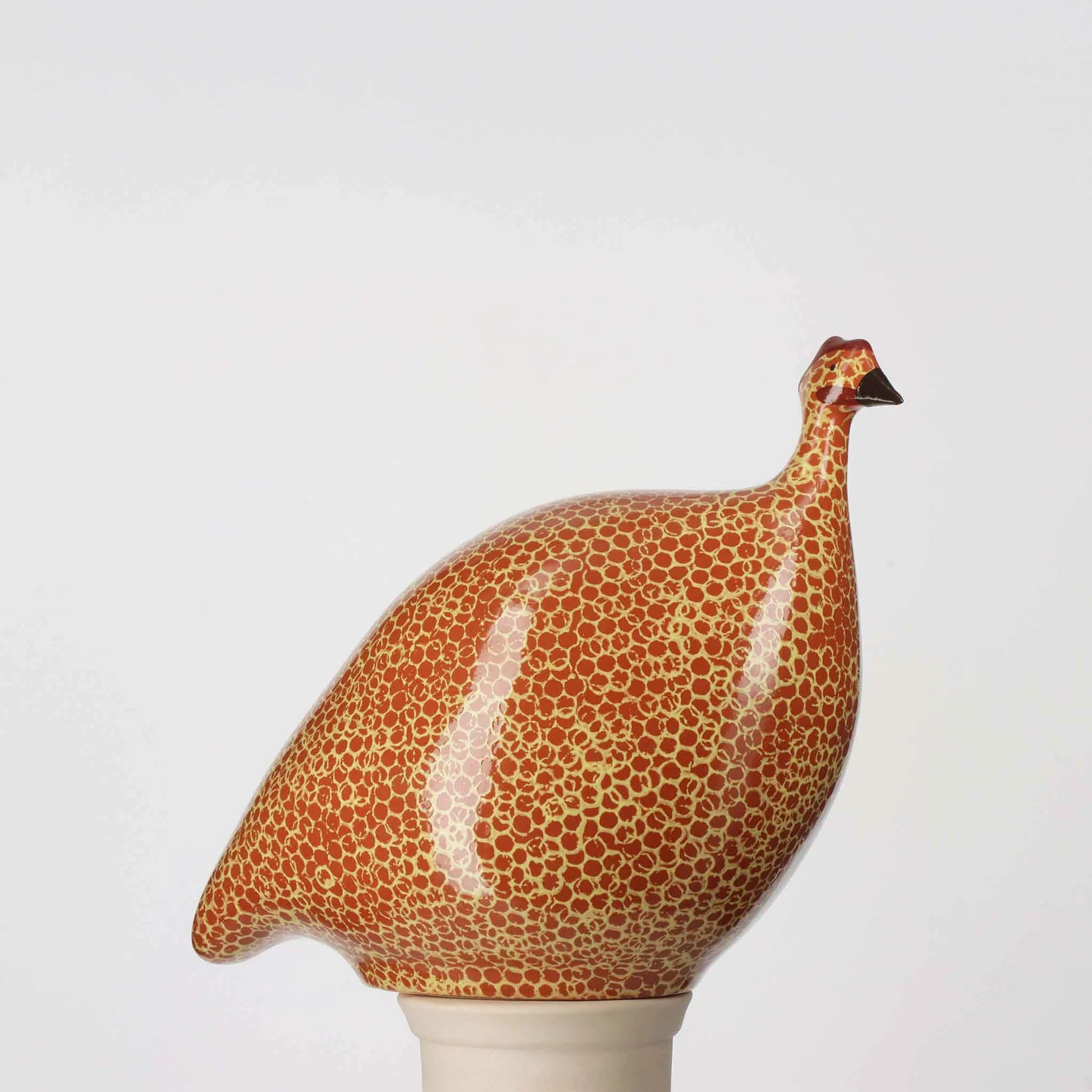 Red Spotted Yellow Guinea Fowl