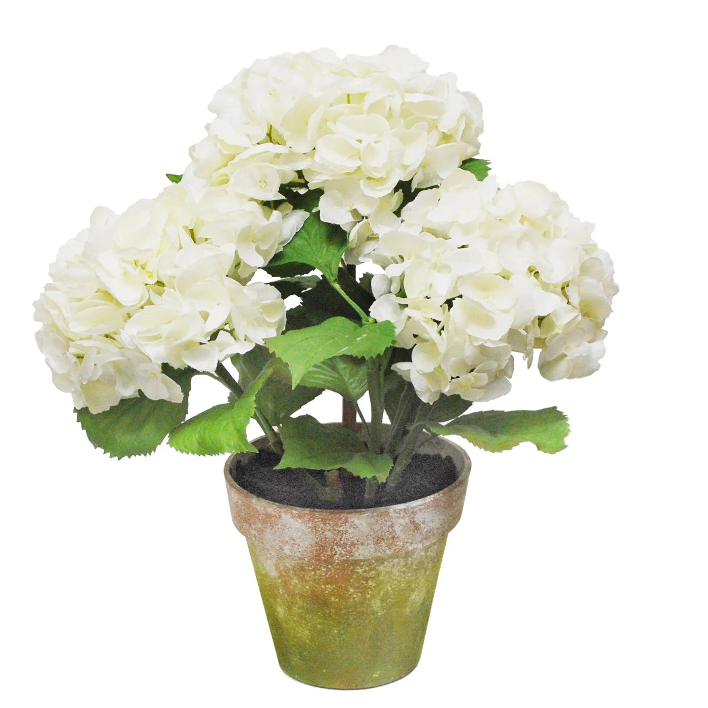 Hydrangea Potted 19" (White)