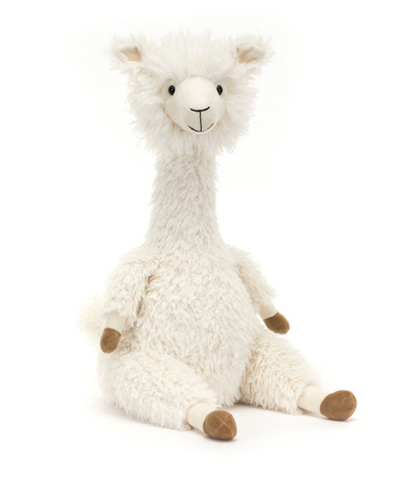 Alonso Alpaca