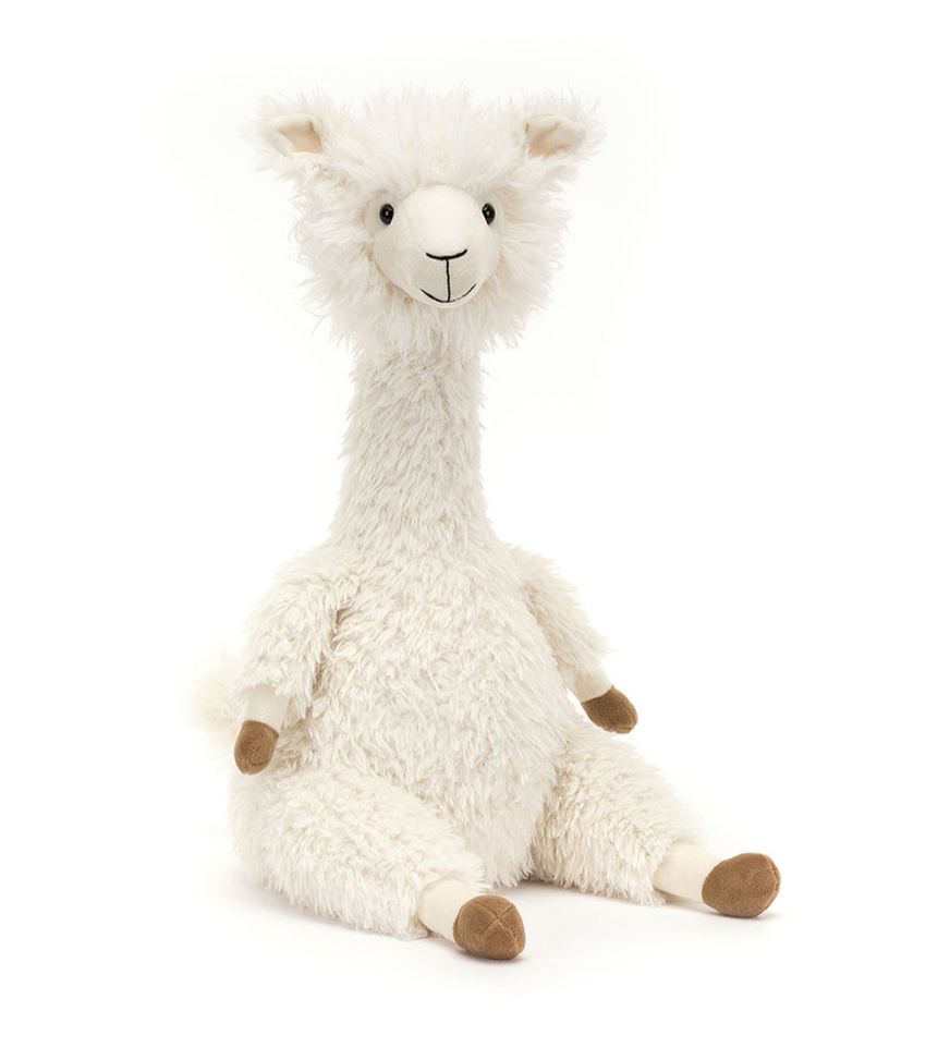 Luis Llama