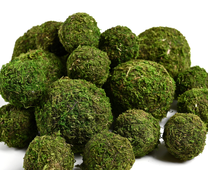 Moss Balls