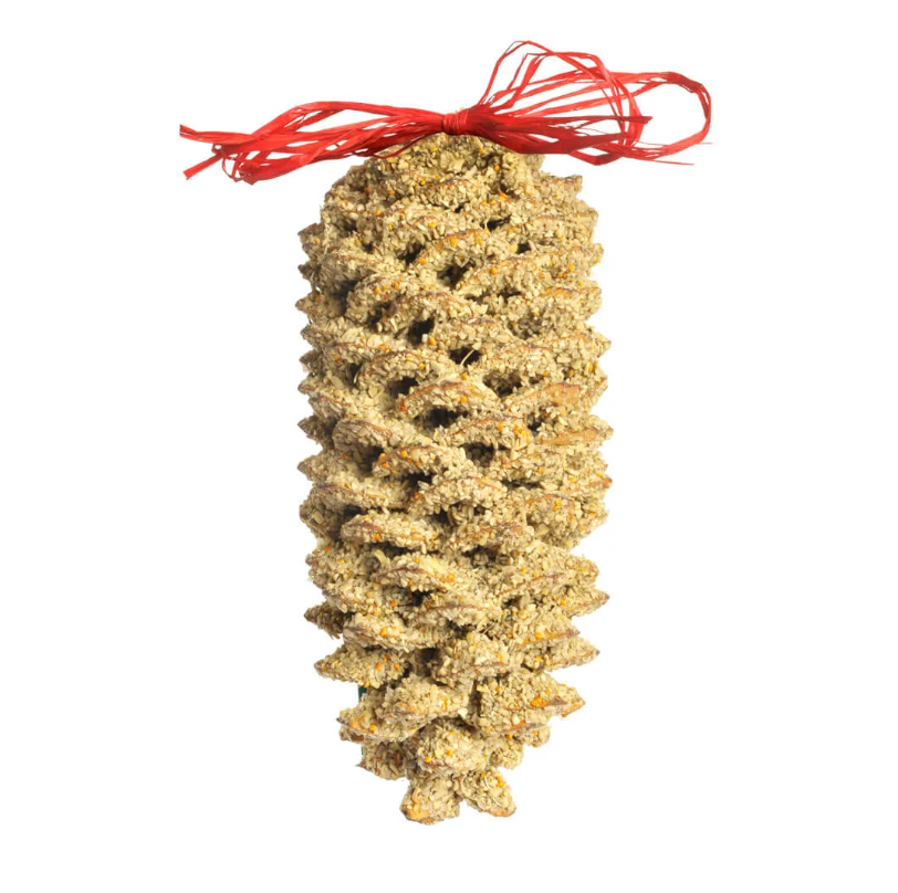 Large Pinecone Bird Food