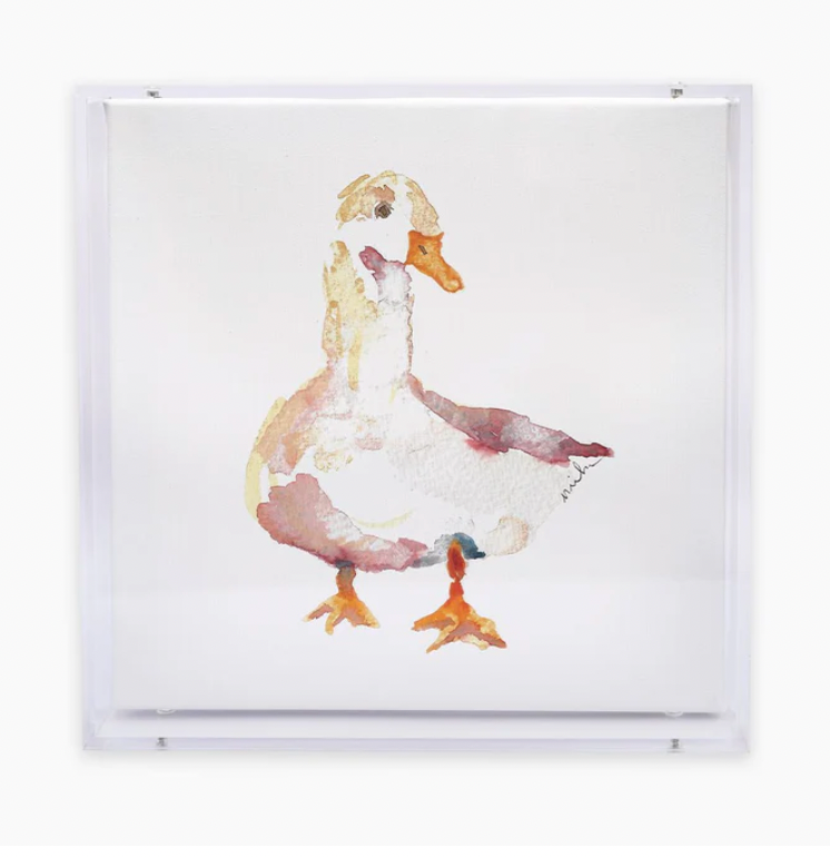 Animal Canvas Acrylic Shadow Box