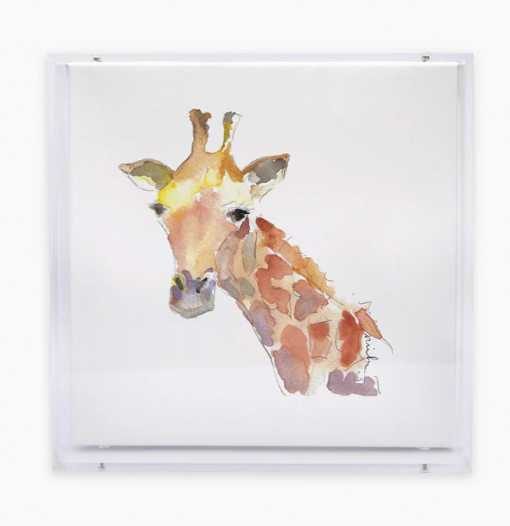 Animal Canvas Acrylic Shadow Box