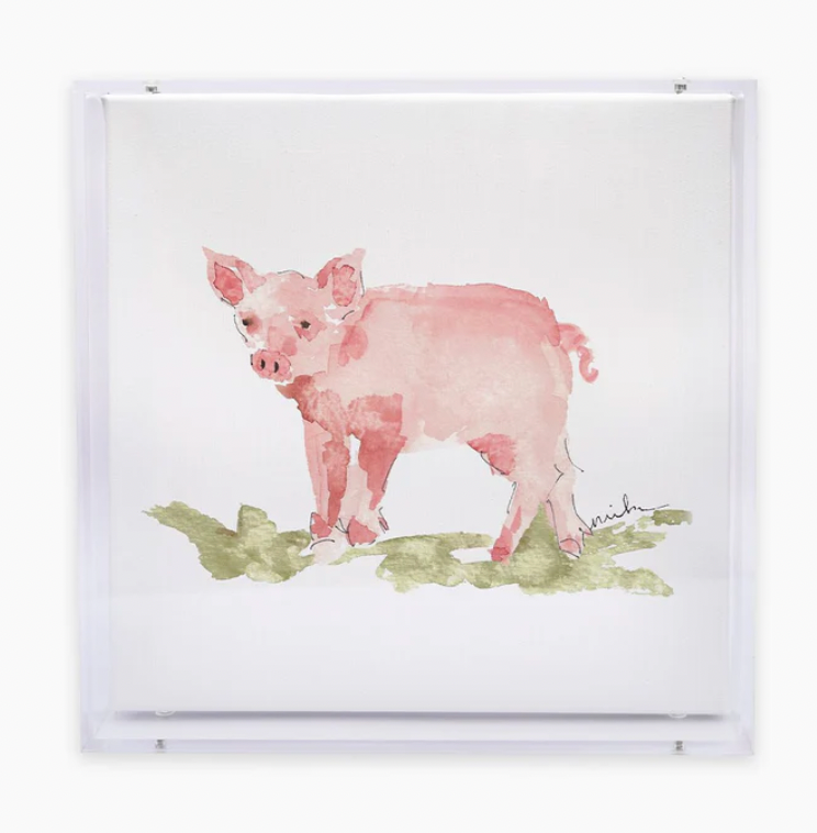 Animal Canvas Acrylic Shadow Box