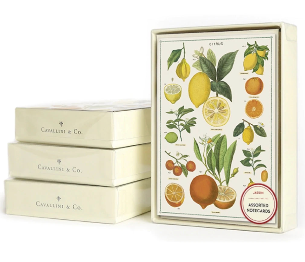 Boxed Notecards