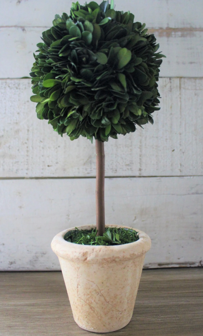 5x12 single ball topiary