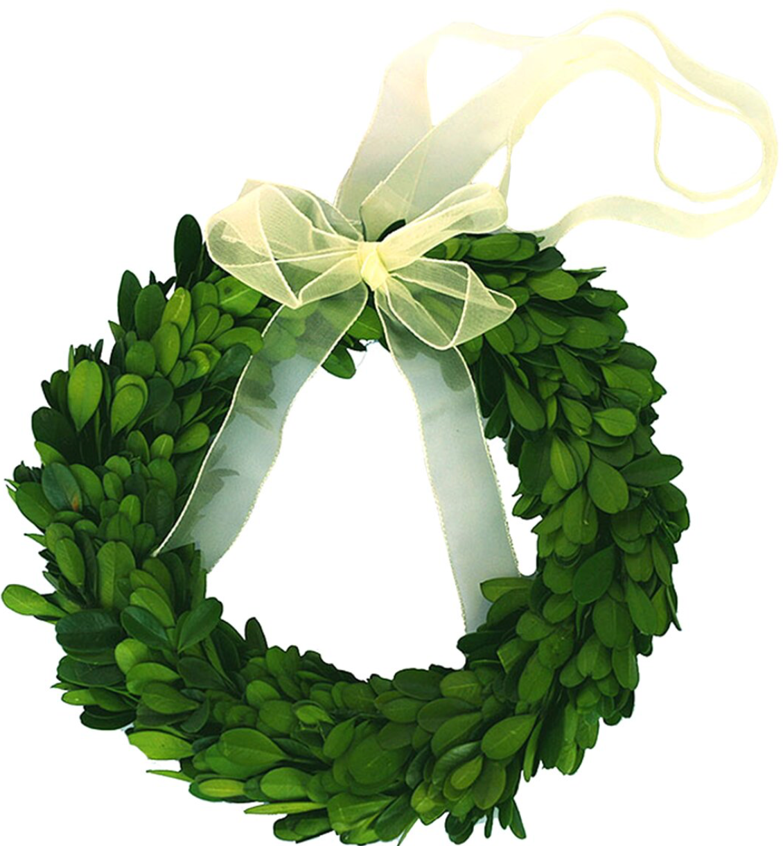 Preserved Boxwood 8" wreath