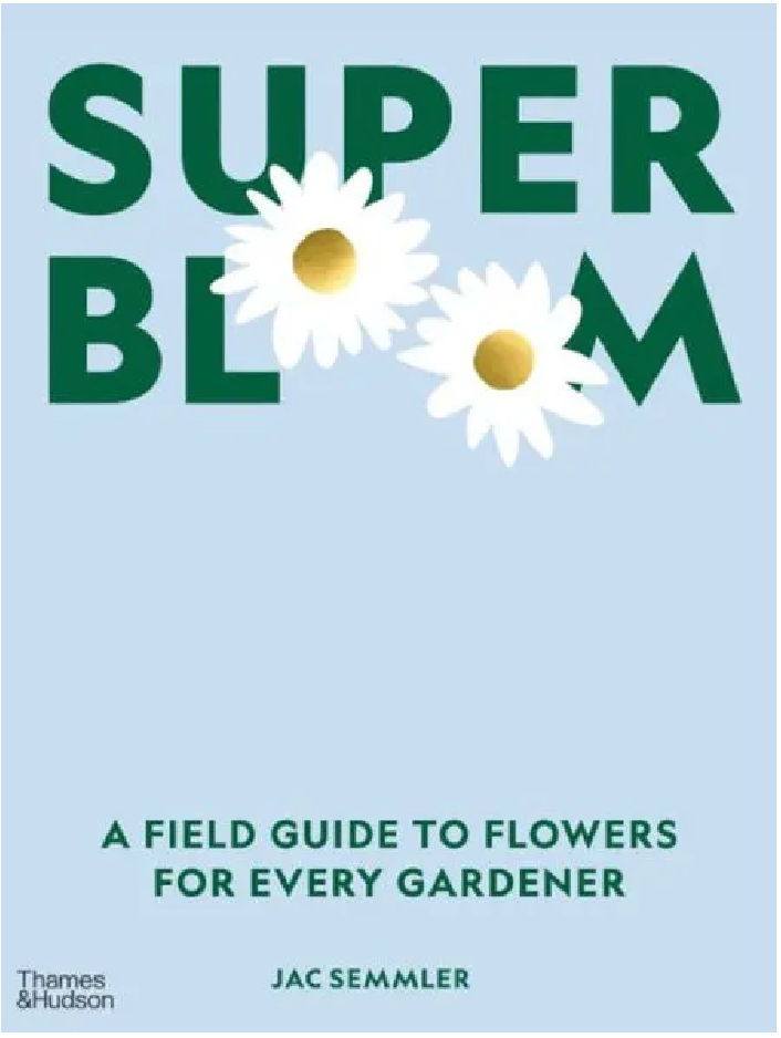 Super Bloom