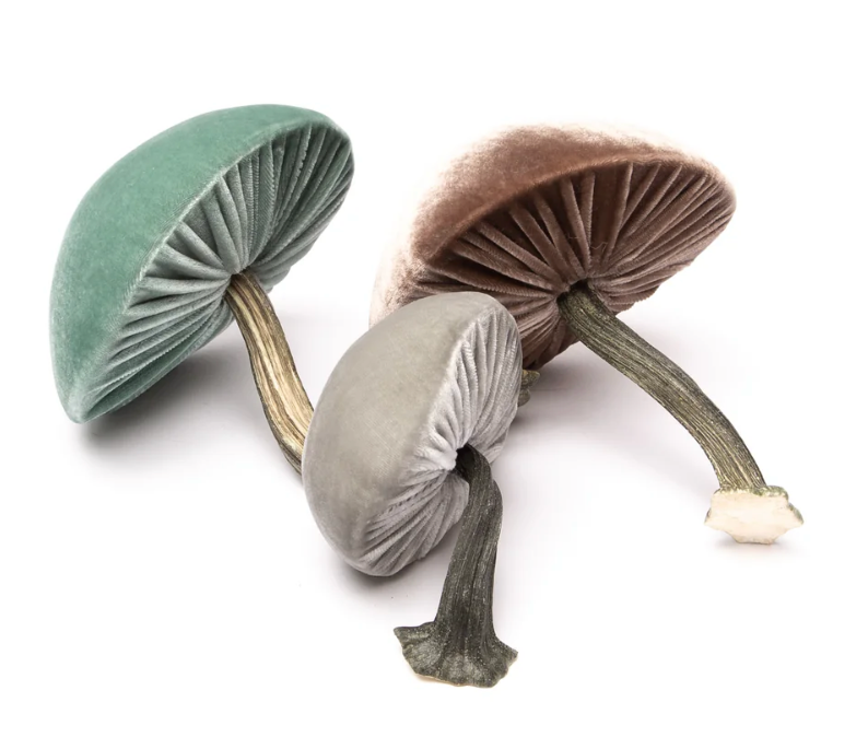 Velvet Mushrooms