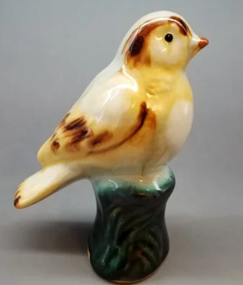 Ivy Jane Bird