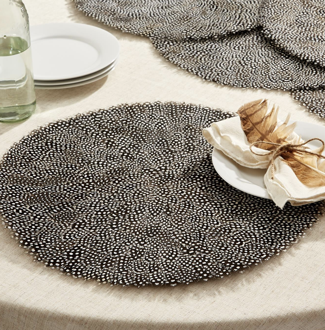 Guinea Feather Placemats