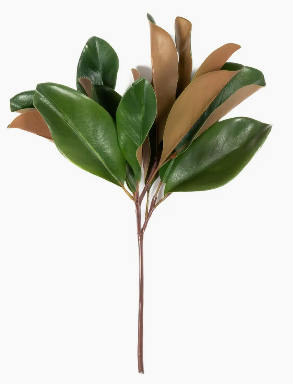 Magnolia Leaf Spray 16"