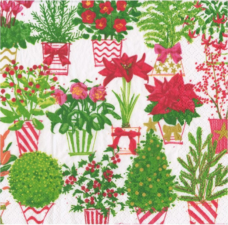 Christmas Flower Market
