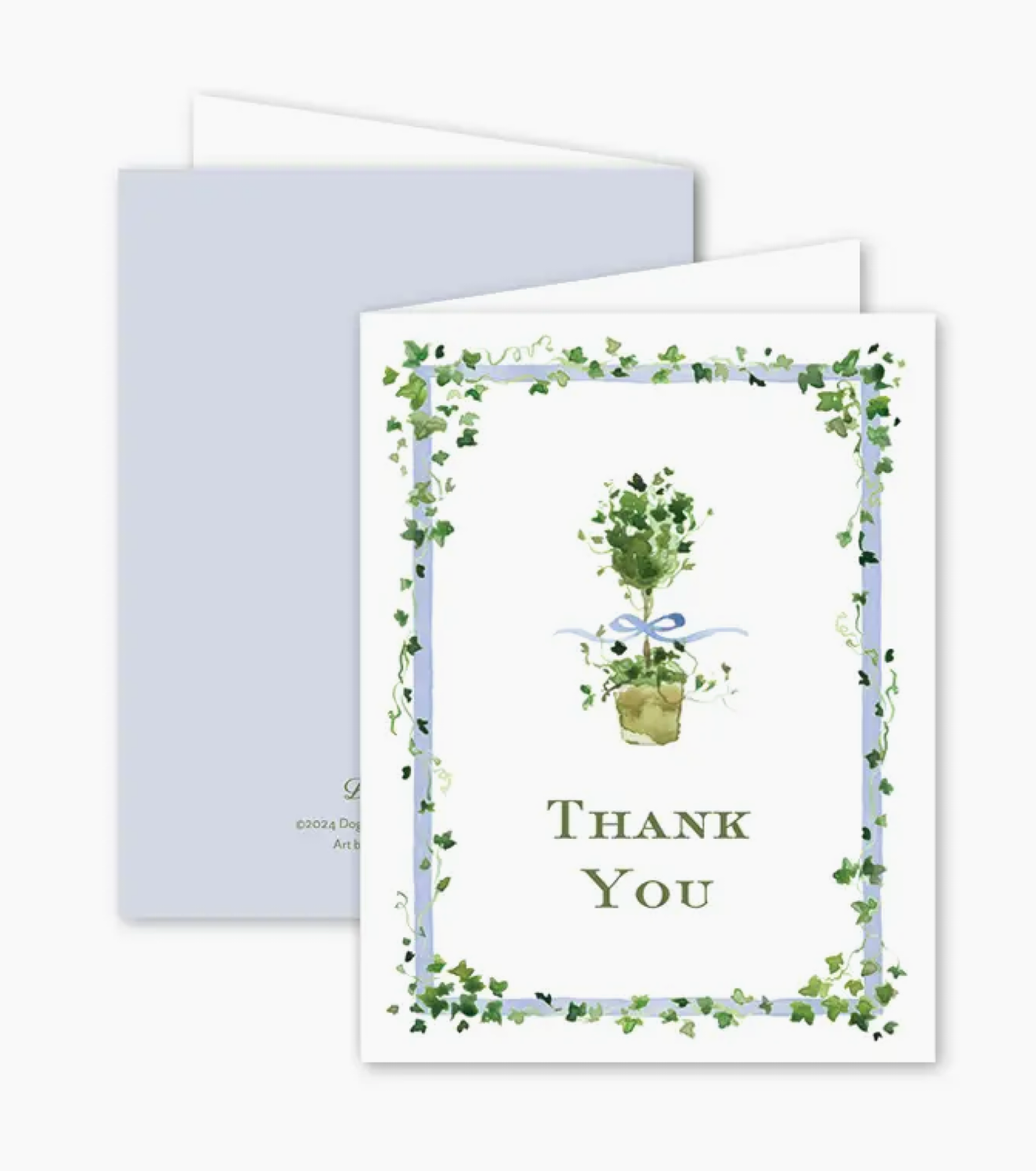 Oxford Ivy Thank You