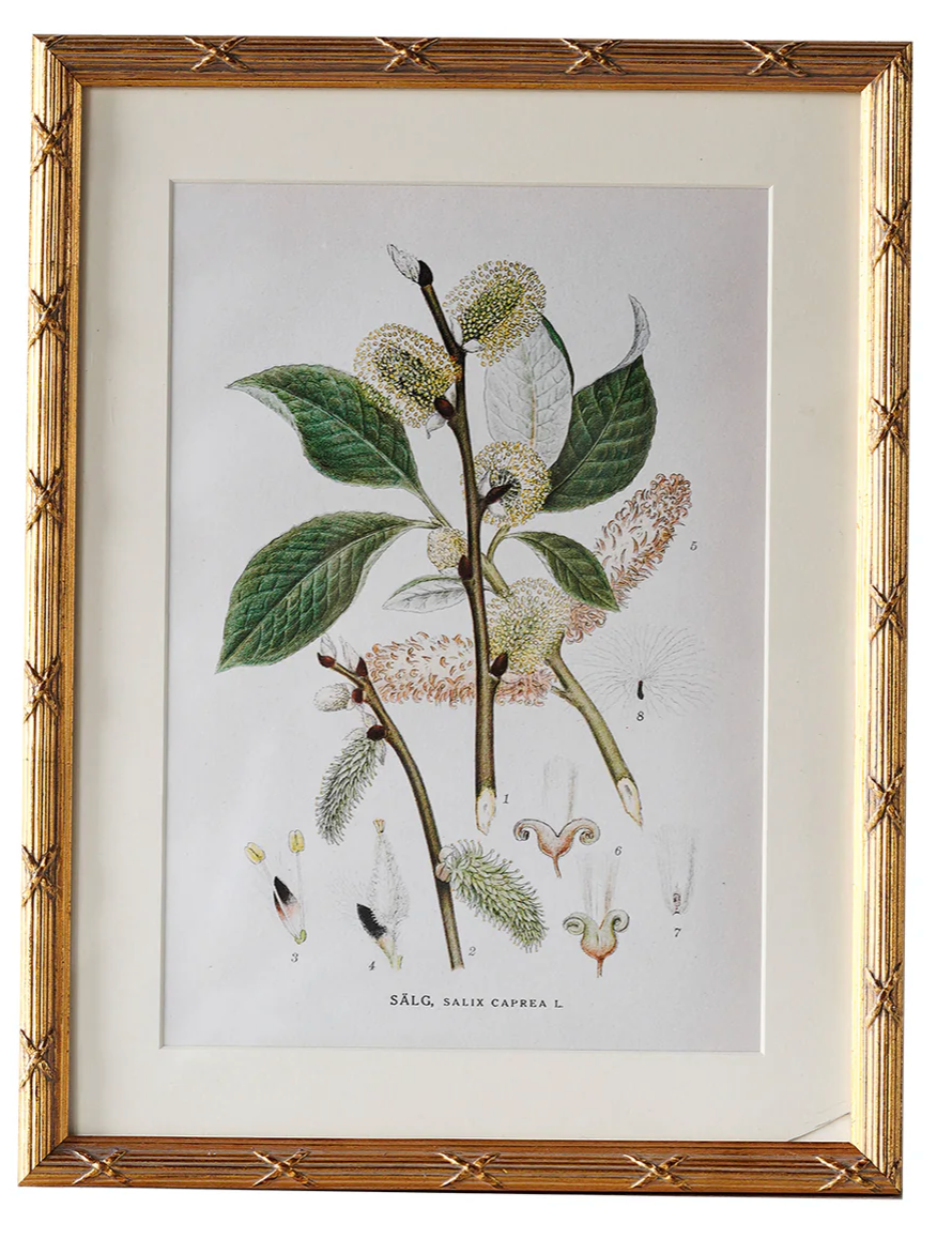 Arundel Matted Frame