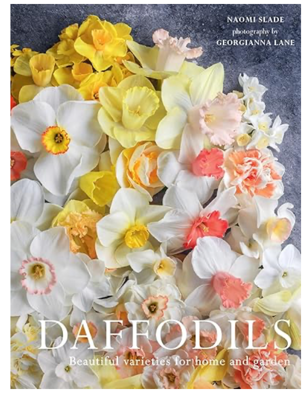 Daffodils: Beautiful Varieties for Home and Garden